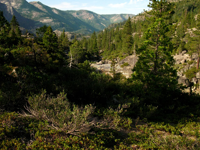 A view of the Mokelumne River Valley from Summit City Creek
